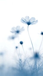 雾影蓝调花影