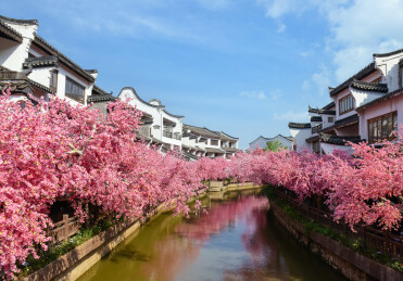浙江湖州长兴太湖演艺城桃花岛景区