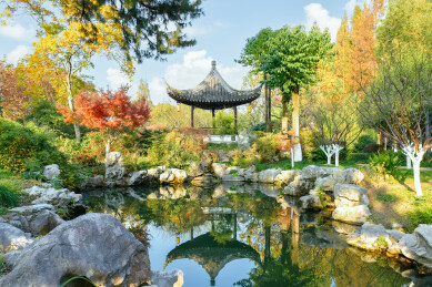 浙江宁波月湖公园冬日暖阳下古建筑凉亭风景