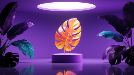 发光橙叶紫底装饰