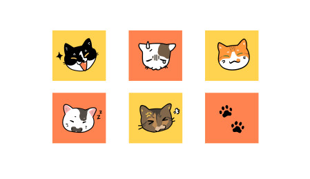 猫咪头像