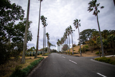 日本鹿儿岛县开闻岳山麓公园的风光