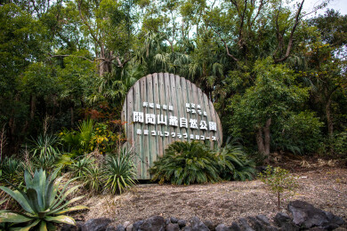 日本鹿儿岛县开闻岳山麓公园的风光