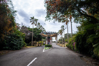 日本鹿儿岛县开闻岳山麓公园的风光