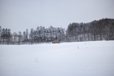 北海道冬天的雪景