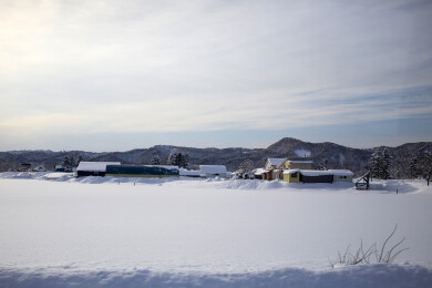 北海道旭川的雪景
