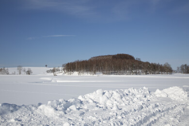北海道的冬天雪景
