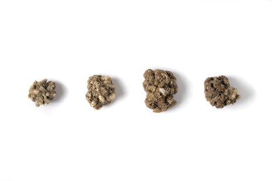 中医中药材饮片猫爪草