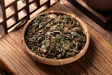 中医中药饮片草药蒲公英