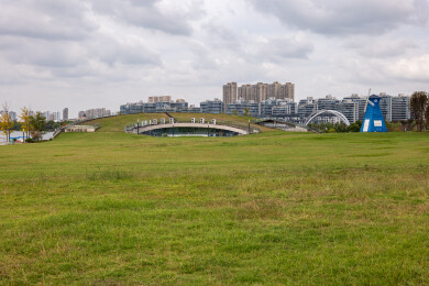 绍兴迪荡湖公园大草坪