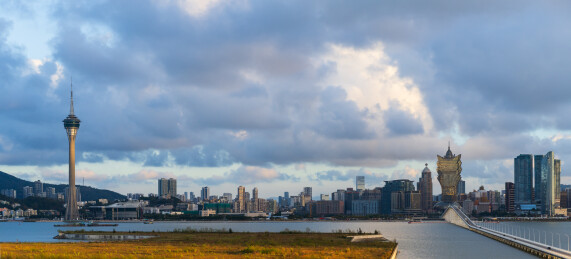 澳门城市风光一群鹿正走过一座桥