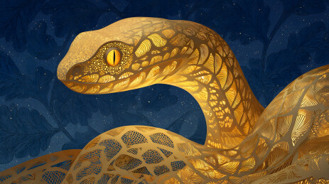 黑暗中站着一条大蛇