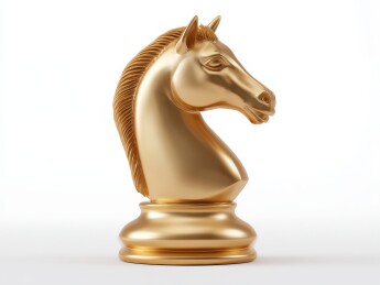 一颗金色的象棋马