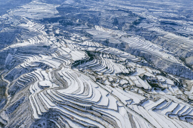 山西夏县：雪落梯田绘水墨
