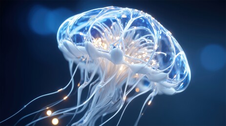 晶莹的水生动物水母3D科幻卡通立体插画