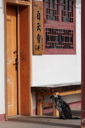 成都白云寺