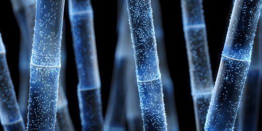 由蓝色微光粒子组成的甘蔗