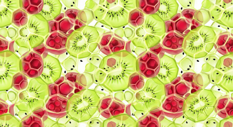 蔬果的微观几何1