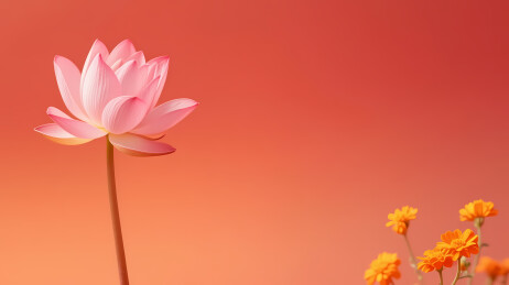 粉莲橙红渐变背景