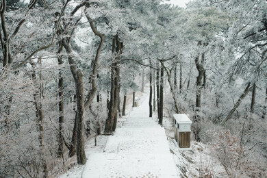 庐山冬季雾凇冰挂林间步道雪景