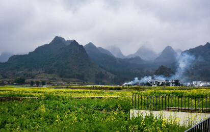 万峰林油菜花田
