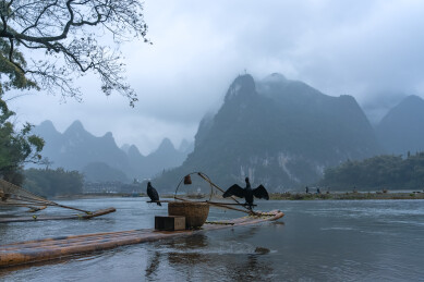 广西桂林漓江鸬鹚竹筏山水风景