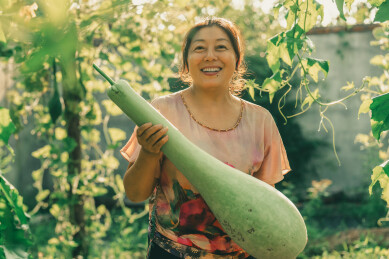 兴奋的农民采摘蔬菜