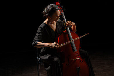 演奏乐器的女音乐艺术家