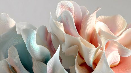 柔和色调抽象3D花卉造型