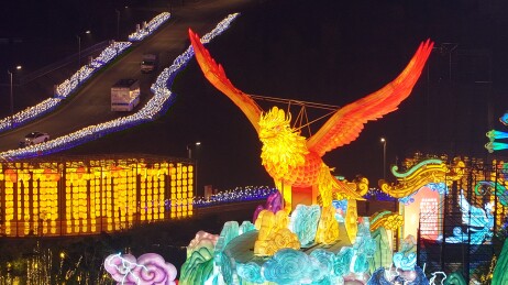 四川自贡：鲲鹏耀灯城，神话入画来