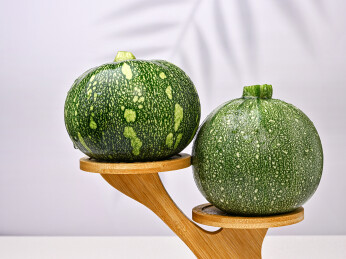 翠绿斑点小南瓜