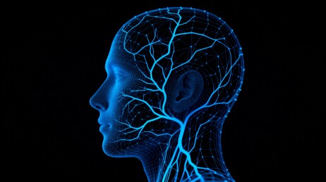 蓝色人脑神经网络结构图