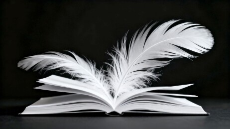 羽书轻扬文艺雅致文创主视觉