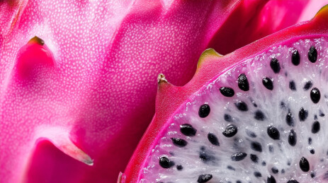 火龙果切面特写