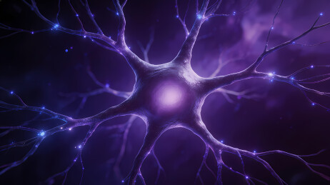 紫色渐变神经元突触