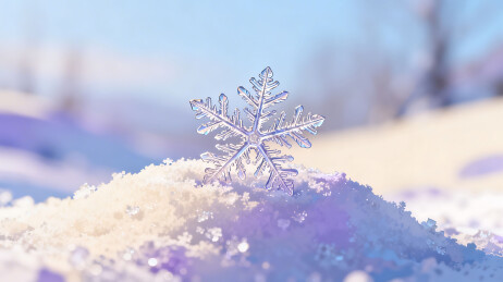 晶莹雪花立雪堆