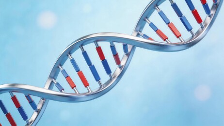 DNA结构分子模型