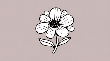 简笔花卉手绘插画