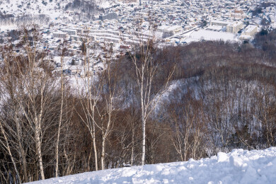 日本，从天狗山俯瞰北海道城市小樽