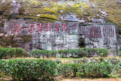 福建省南平市武夷山天游峰石刻