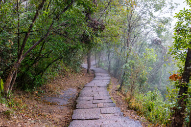 福建南平市武夷山天游峰风光