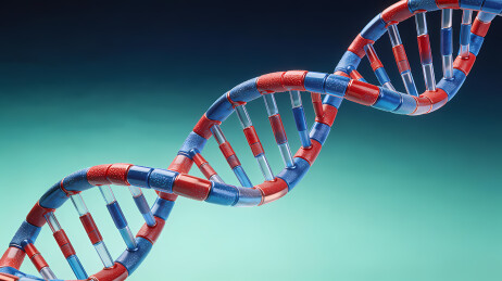 双螺旋DNA结构图