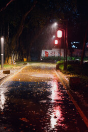 雨夜城市街道路灯映照
