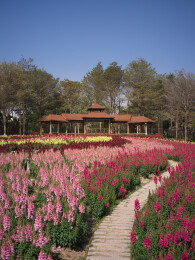 花海游廊亭台美景