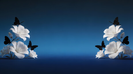 白花黑蝶深蓝背景