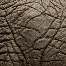 深棕大象皮纹理质感特写背景