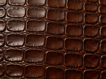 深棕鳄鱼皮纹路质感高清背景