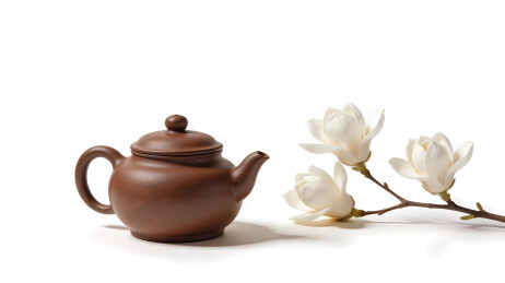 棕色紫砂壶与白花枝