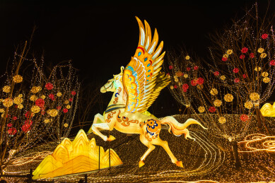 重庆两江新区礼嘉灯会的飞马灯饰