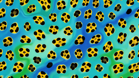 豹纹图案蓝绿渐变背景